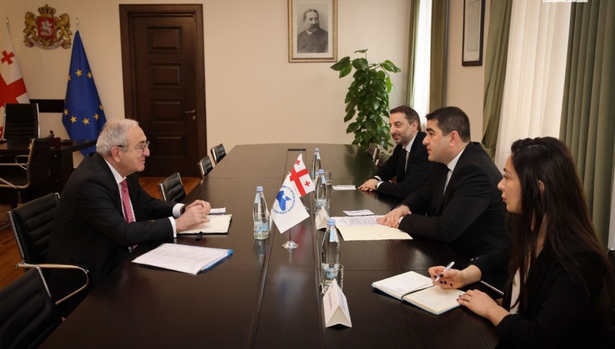 Shalva Papuashvili Met the PABSEC Secretary General