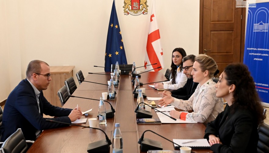 Mariam Lashkhi Met with a Researcher from the Hungarian Institute of International Affairs