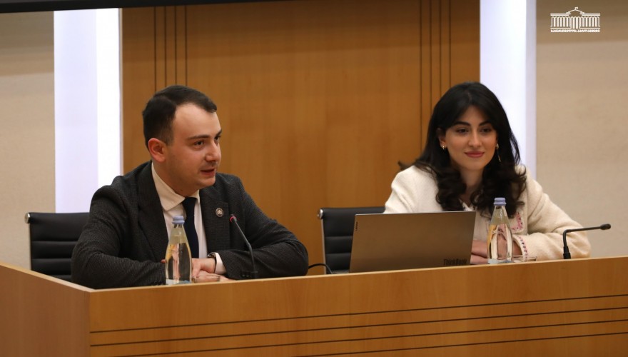 Giorgi Chakvetadze and Lika Shartava introduced the education reform aspects to the members of the Students’ Parliament and Government