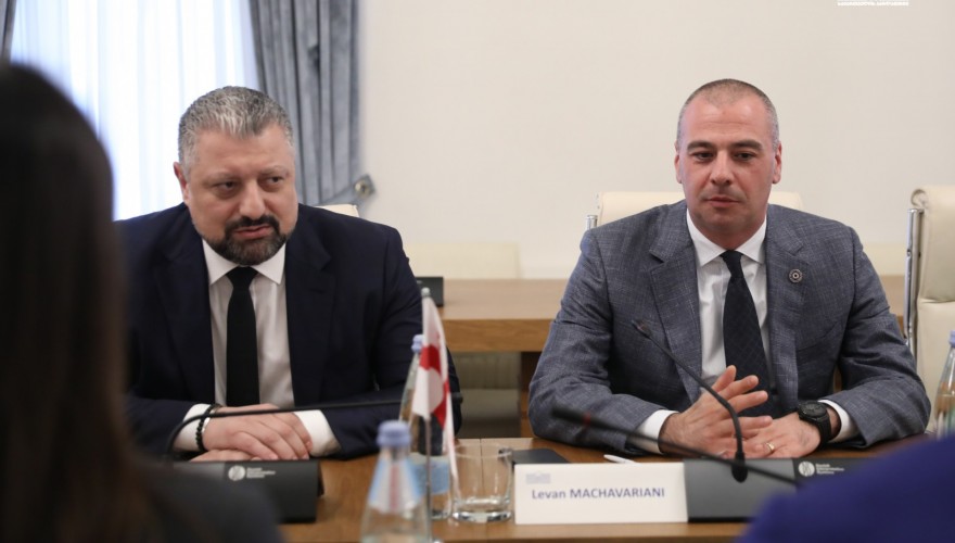 Levan Machavariani and Tornike Berekashvili met with the Moldova-Georgia Parliamentary Friendship Group