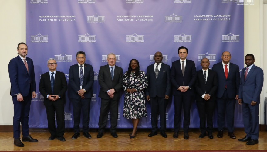 Giorgi Volski Held a Meeting with Permanent Representatives to the United Nations
