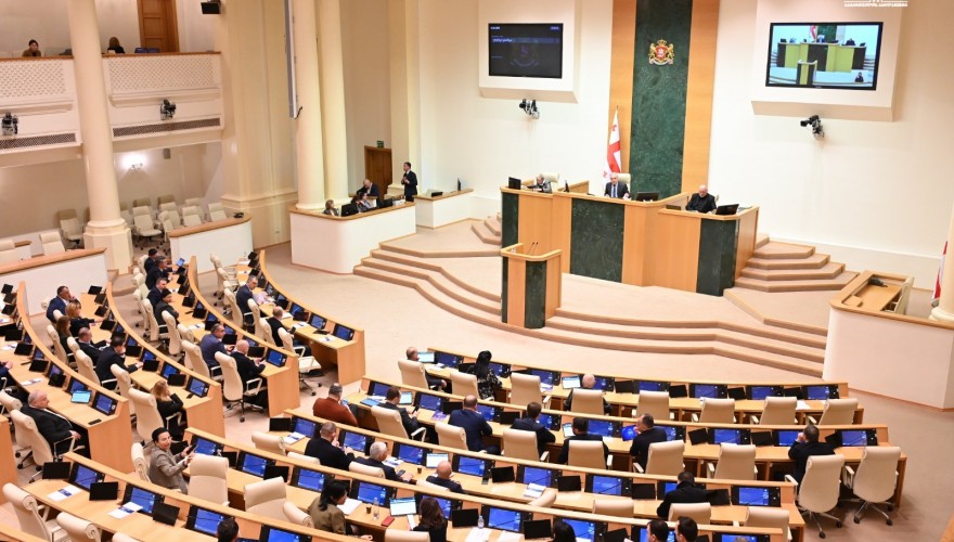 Parliament Elected Ani Vazagashvili as a Member of the Georgian National Communications Commission