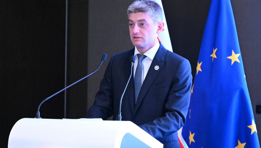 გიორგი ხახუბია ბირთვული და რადიაციული უსაფრთხოების სააგენტოს საიუბილეო ღონისძიებაზე სიტყვით გამოვიდა