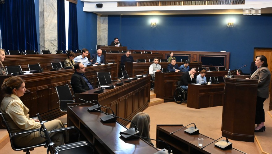 ადამიანის უფლებათა დაცვისა და სამოქალაქო ინტეგრაციის კომიტეტმა ენერგოომბუდსმენის მოვალეობის შემსრულებლის 2025 წლის ანგარიში მოისმინა