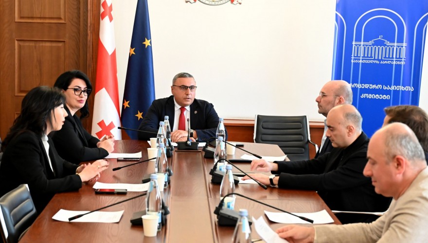 The Procedural Issues Committee supported the termination of the powers of the Head of the State Security Service, Mamuka Mdinaradze, ahead of time