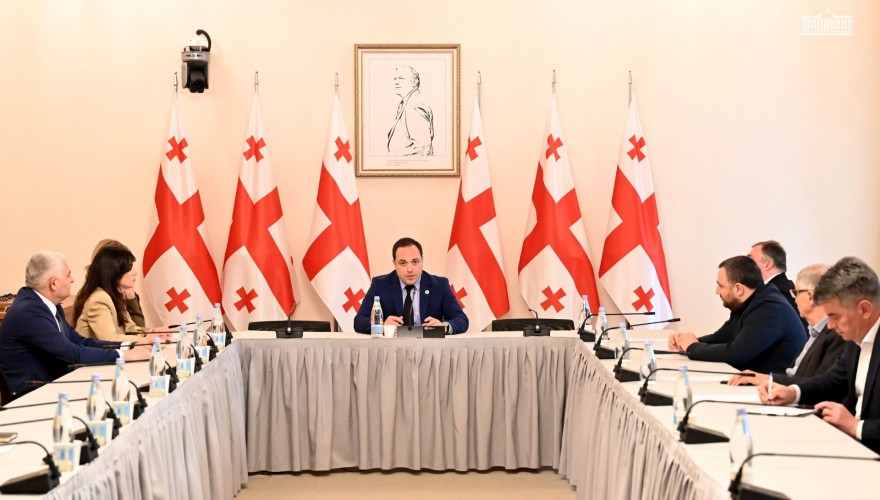 Lika Shartava Elected as Deputy Chair of the Culture Committee