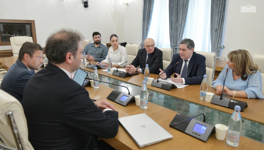 გელა სამხარაულმა საერთაშორისო კვლევითი პროექტის ფარგლებში შეხვედრა გამართა
