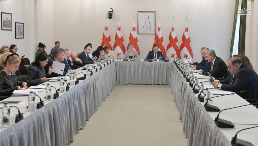 Three-Month Review of the Execution of Georgia’s 2026 State Budget Heard at a Joint Meeting of Committees