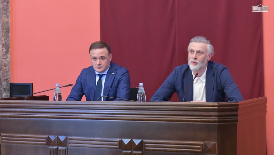 First-Quarter Execution of Georgia’s 2026 State Budget Reviewed at a Joint Meeting of the Sports and Diaspora Committees