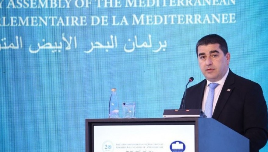 Shalva Papuashvili Addressed the First Summit of Speakers of Parliament of PAM Member and Partner States