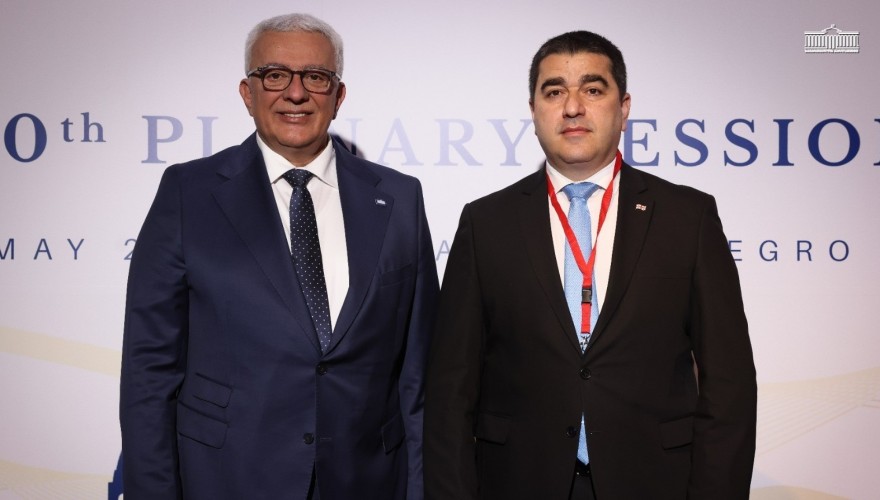 შალვა პაპუაშვილი მონტენეგროს პარლამენტის პრეზიდენტს შეხვდა