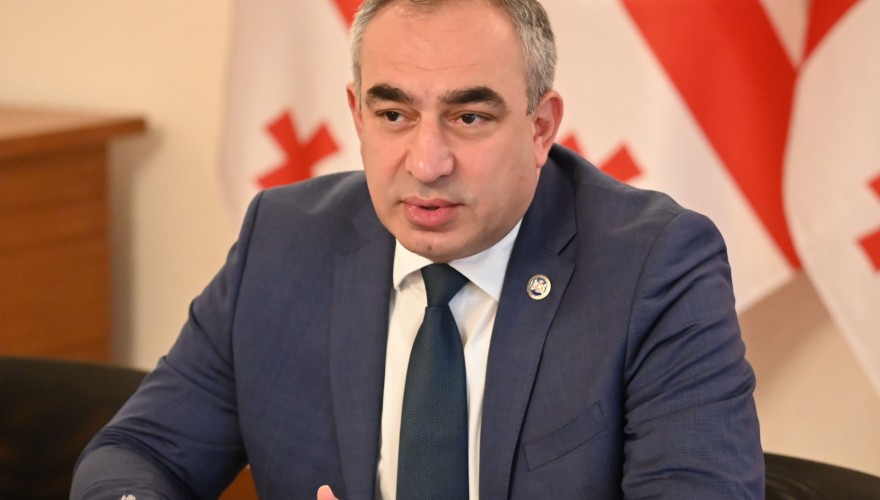 Chair of the Parliamentary Political Group “European Socialists” Vladimir Bozhadze Met with Members of the Initiative Group “Georgian Youth Congress”
