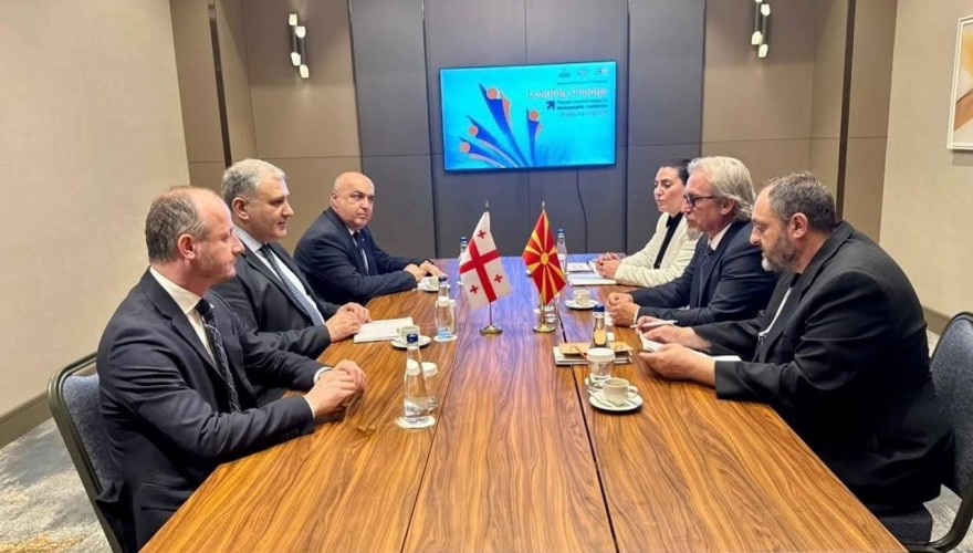 Zaza Lominadze Participated in the International Ministerial Meeting on Demographic Sustainability in North Macedonia