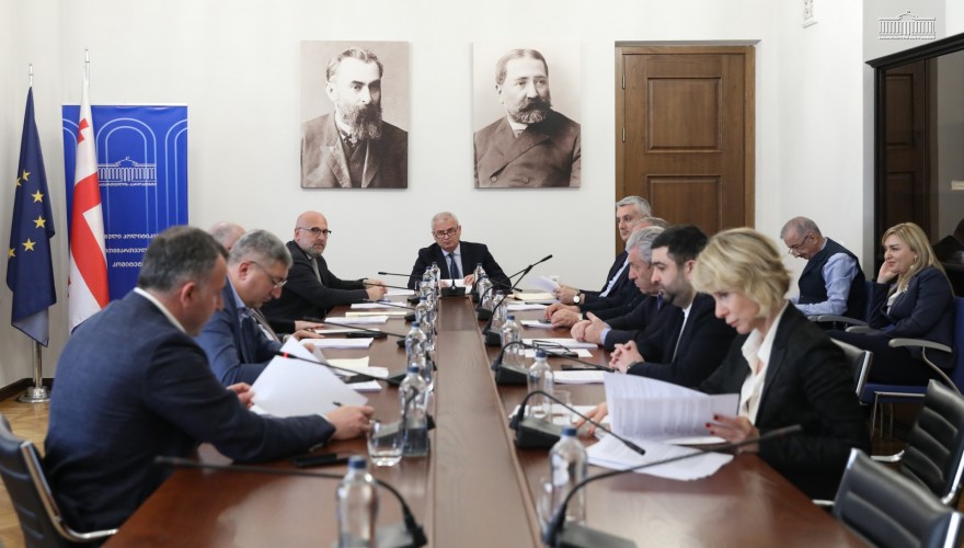 The Regional Policy and Self-Government Committee Heard the Review of the Execution of Georgia’s 2026 State Budget for the First Three Months