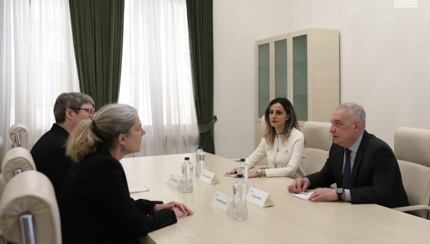 Giorgi Volski Met with the Head of the International Committee of the Red Cross Delegation