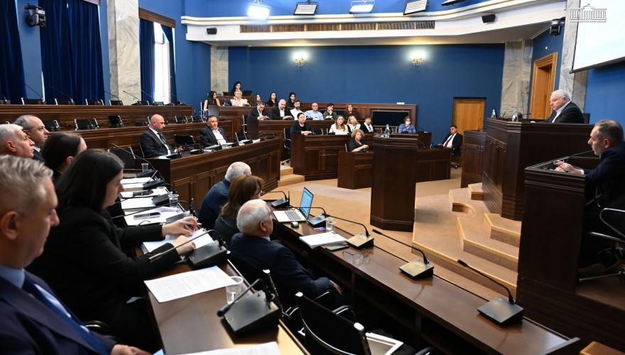 საფინანსო-საბიუჯეტო კომიტეტთან არსებულმა სახელმწიფო აუდიტის სამსახურის ანგარიშების განმხილველმა მუდმივმოქმედმა აუდიტის ჯგუფმა ორი ანგარიში განიხილა