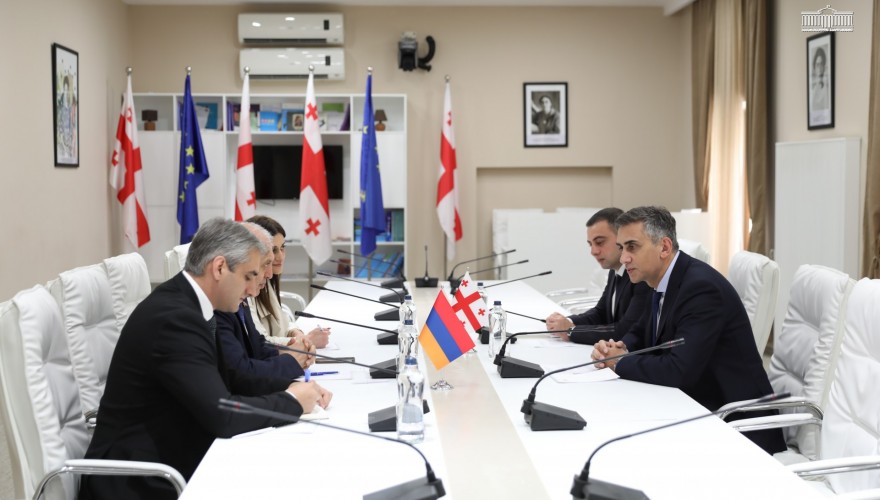 Vice Speaker of the Parliament of Georgia Giorgi Kakhiani met with the Ambassador of Armenia
