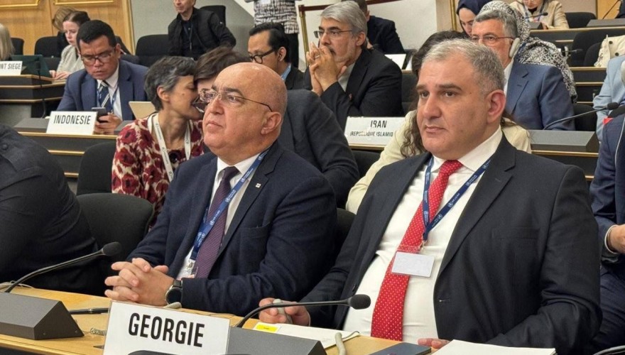 Zaza Lominadze participates in the 79th session of the World Health Assembly