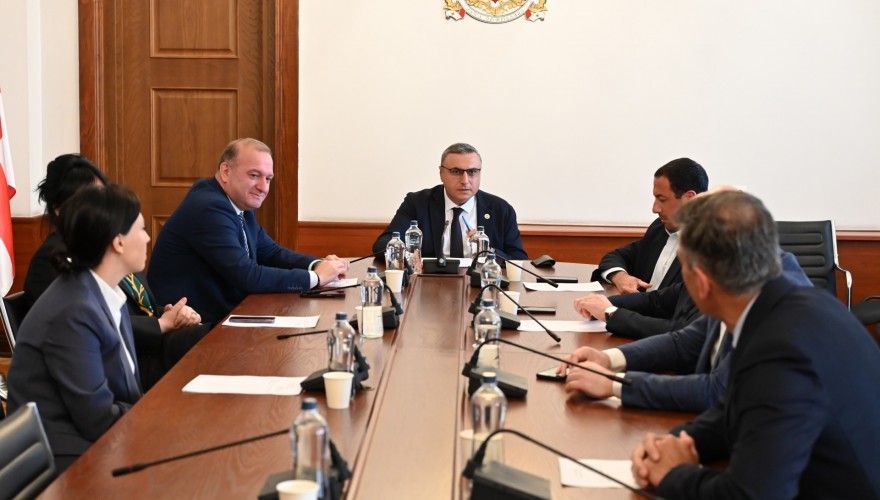 საპროცედურო საკითხთა კომიტეტის თავმჯდომარის მოადგილედ იმედა ნიკურაძე აირჩიეს