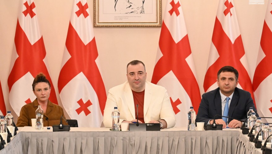 რატი იონათამიშვილი სტუდენტური პარლამენტისა და მთავრობის წევრებს შეხვდა
