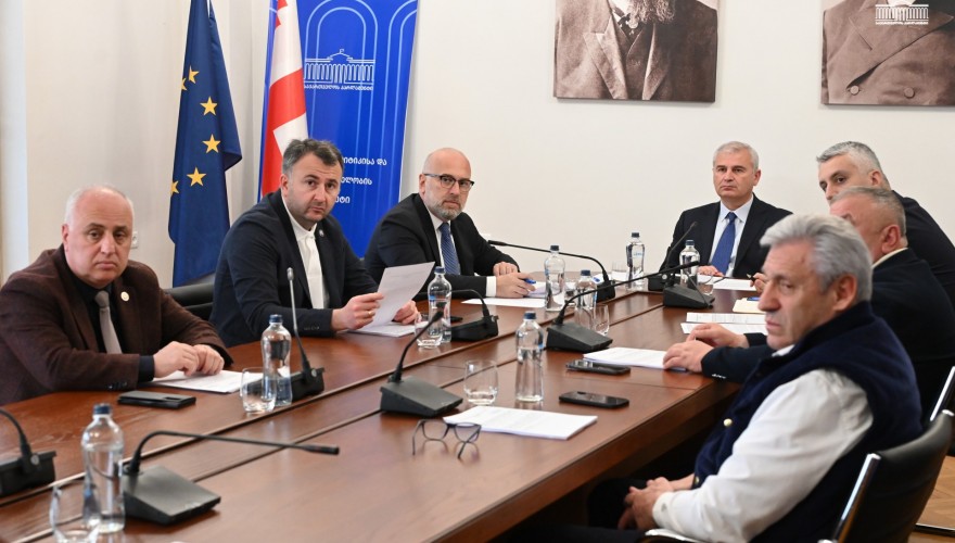 The Regional Policy and Self-Government Committee approved the Draft Law on the Establishment of the Tsiv-Gombori National Park