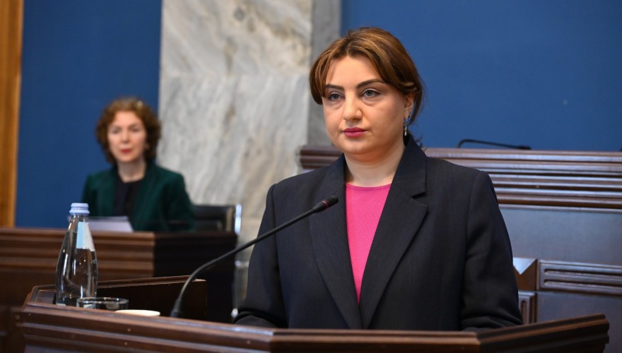 საფინანსო-საბიუჯეტო კომიტეტმა სახელმწიფო აუდიტის სამსახურის 2027 წლის საბიუჯეტო განაცხადი განიხილა