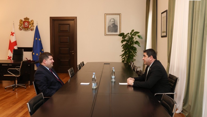 Speaker of the Parliament of Georgia Met with the Chairman of the Georgian Bar Association