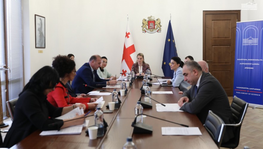 The Education, Science and Youth Affairs Committee approved the Establishment of a Diplomatic Academy