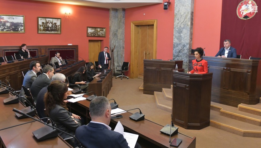 The Foreign Relations Committee Supported the Establishment of the Diplomacy Academy