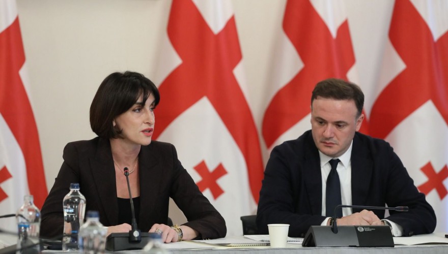 დიასპორის კომიტეტის სხდომაზე საგარეო საქმეთა მინისტრს, მაკა ბოჭორიშვილს მოუსმინეს
