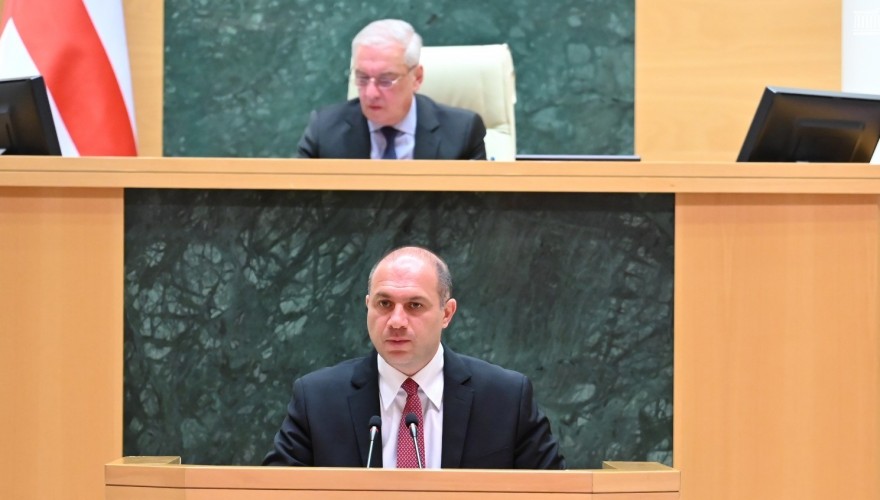Parliament Heard Education, Science and Youth Minister Givi Mikanadze Through Interpellation Procedure