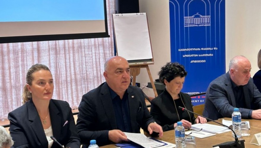 ბავშვიანი ოჯახების სოციალურ-ეკონომიკური მდგომარეობის გაუმჯობესების ხელშემწყობი რეკომენდაციების შემუშავების მიზნით შექმნილმა სამუშაო ჯგუფმა ბათუმში ორდღიანი მუშაობა შეაჯამა