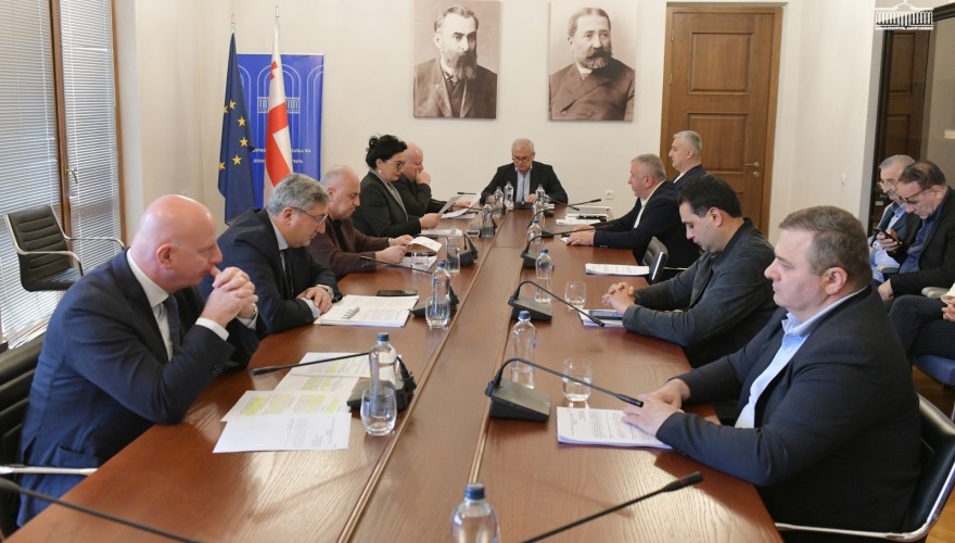 Regional Policy and Self-Government Committee took Note of the Annual Report on the Execution of Georgia’s 2025 State Budget