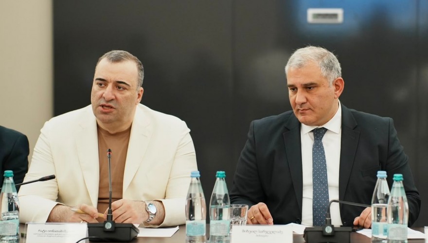 Rati Ionatamishvili Participated in the First Meeting of the Coordinating Council for the Implementation of the Biopsychosocial Model