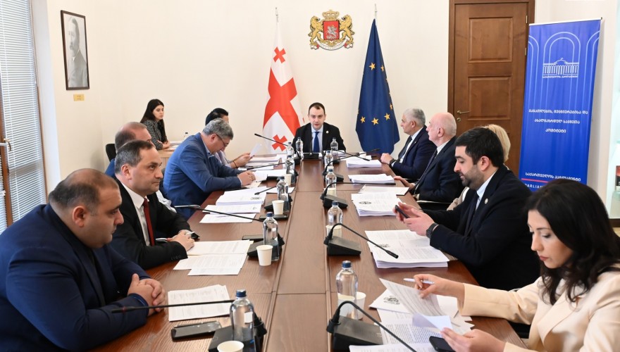 განათლების, მეცნიერებისა და ახალგაზრდულ საქმეთა კომიტეტმა 2025 წლის სახელმწიფო ბიუჯეტის შესრულების ანგარიში განიხილა