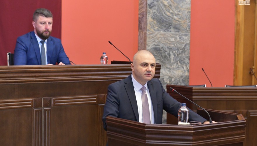 პარლამენტის კომიტეტებმა ერთობლივ სხდომაზე გაერთიანებული ერების ორგანიზაციის კომიტეტების მიერ საქართველოს მიმართ მიღებული გადაწყვეტილებების აღსრულების შესახებ 2025 წლის ანგარიში მოისმინეს