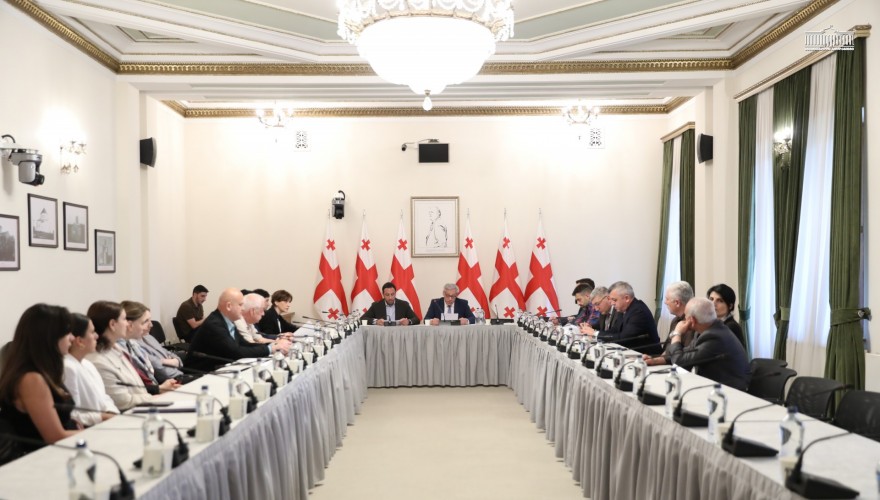 სპორტის კომიტეტმა საქართველოს 2025 წლის სახელმწიფო ბიუჯეტის შესრულების წლიური ანგარიში დადებითად შეაფასა