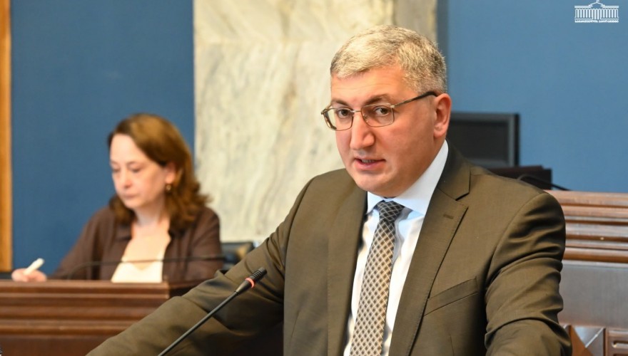 გარემოს დაცვისა და ბუნებრივი რესურსების კომიტეტმა 2025 წლის სახელმწიფო ბიუჯეტის შესრულების ანგარიშს მხარი დაუჭირა