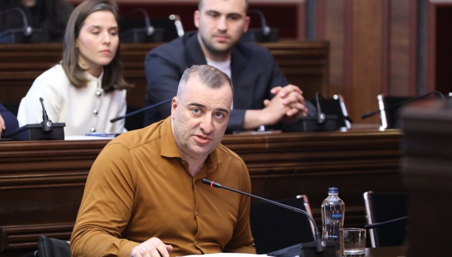 ადამიანის უფლებათა დაცვისა და სამოქალაქო ინტეგრაციის კომიტეტმა საქართველოს 2025 წლის სახელმწიფო ბიუჯეტის შესრულების წლიური ანგარიში მოისმინა