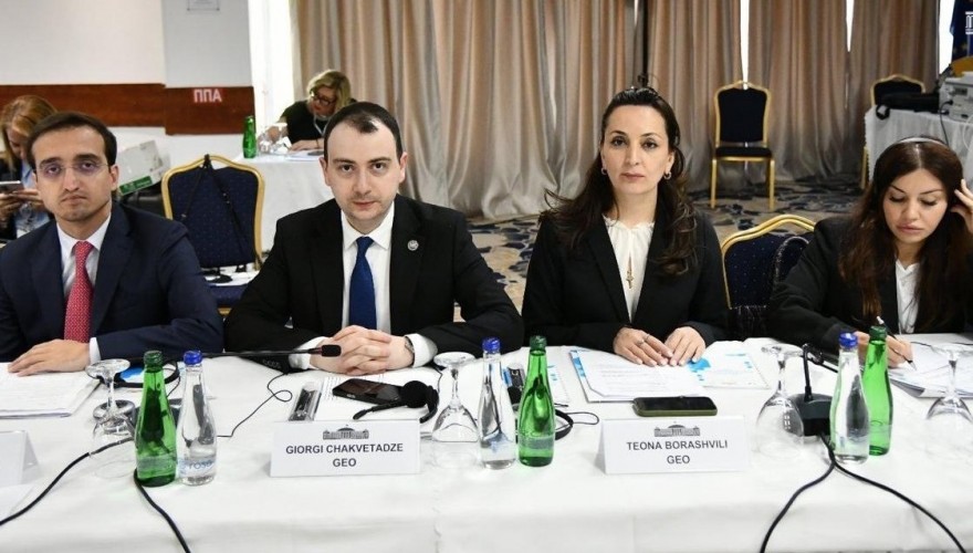 საქართველოს პარლამენტის დელეგაციამ COSAP-ის კონფერენციაში მიიღო მონაწილეობა