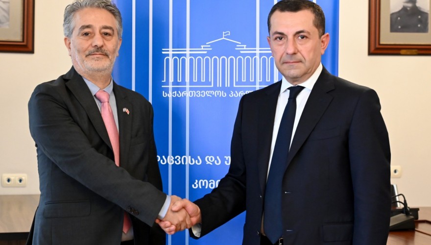 ალექსანდრე ტაბატაძე ისრაელის საგანგებო და სრულუფლებიან ელჩს შეხვდა