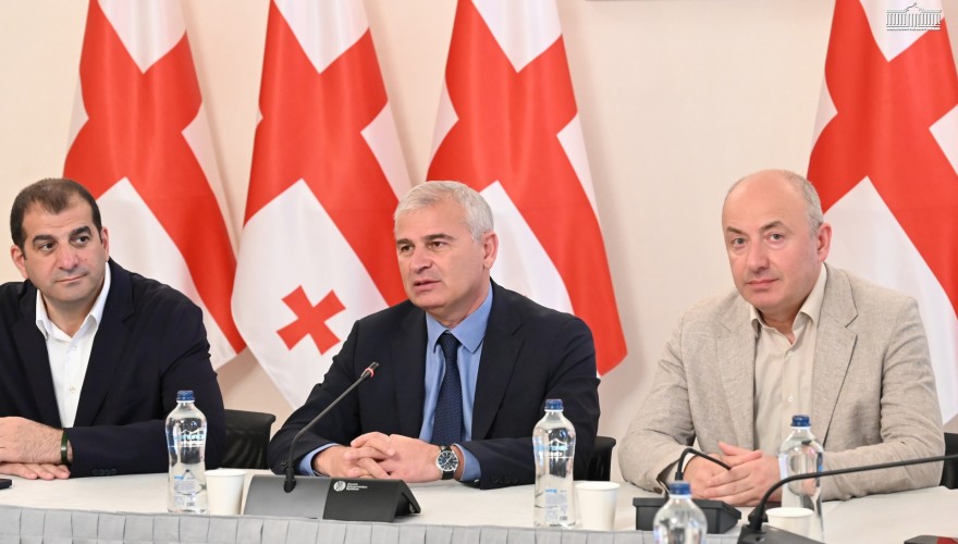 პარლამენტის წევრები ლაგოდეხის მუნიციპალიტეტის მერიის ახალგაზრდული საბჭოს წევრებს შეხვდნენ