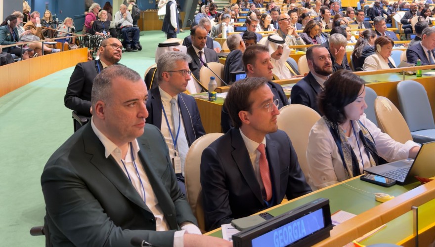 Rati Ionatamishvili and Tornike Phagava Participated in the Conference of States Parties to the Convention on the Rights of Persons with Disabilities