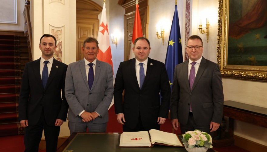 საქართველოს პარლამენტის დელეგაციამ ლუქსემბურგის პარლამენტში საქართველო-ევროკავშირის ურთიერთობები განიხილა