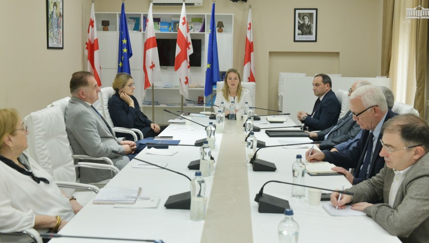 პარლამენტში სახელმწიფო ენის დაცვისა და განვითარების ხელშეწყობის სამუშაო ჯგუფის შეხვედრა გაიმართა
