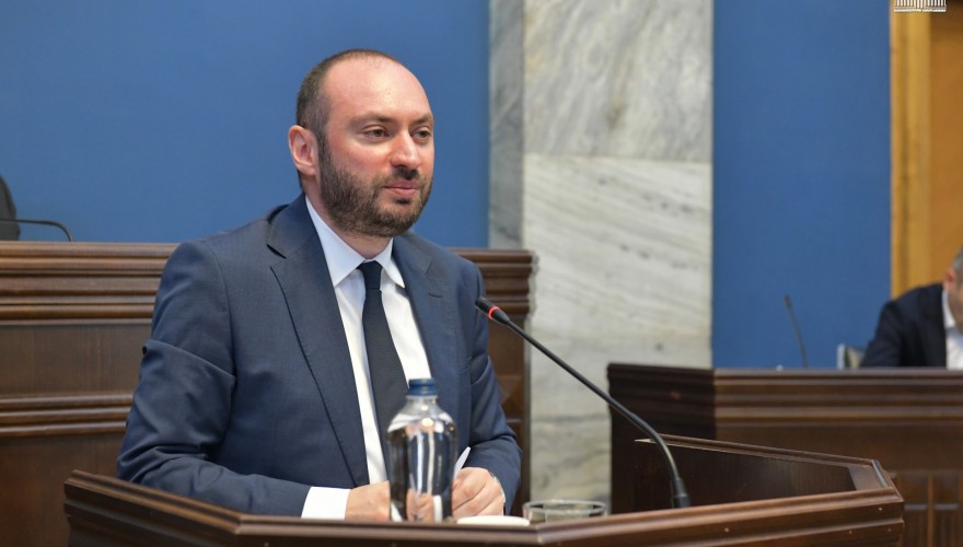Budget and Finance Committee Heard the 2025 Activity Report of the Georgian Pension Fund