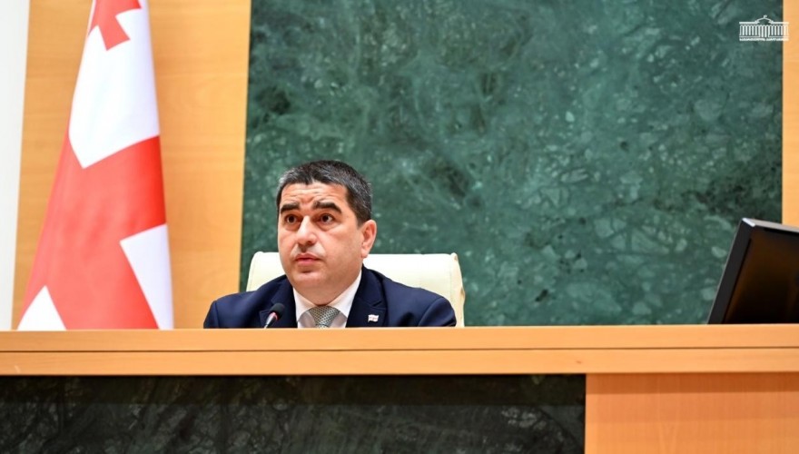 საქართველოს პარლამენტმა საზოგადოებრივი მაუწყებლის სამეურვეო საბჭოს ორი წევრი აირჩია 