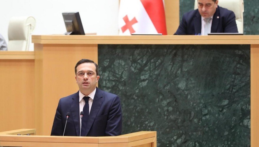 Parliament Heard the Public Defender’s 2025 Report on the State of Human Rights and Freedoms in Georgia