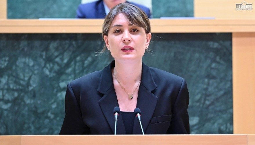 პარლამენტმა „საჰაერო კოდექსში“ ცვლილებები მესამე მოსმენით მიიღო