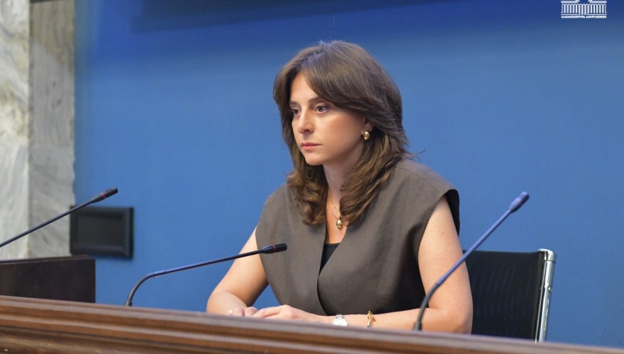 გარემოს დაცვისა და ბუნებრივი რესურსების კომიტეტმა რუსთავში ატმოსფერული ჰაერის მდგომარეობის შესახებ იმსჯელა